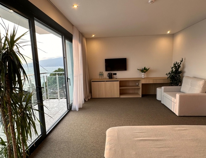 Полулюкс 2-местный 1-комнатный - Отель «Изумруд» Гагра