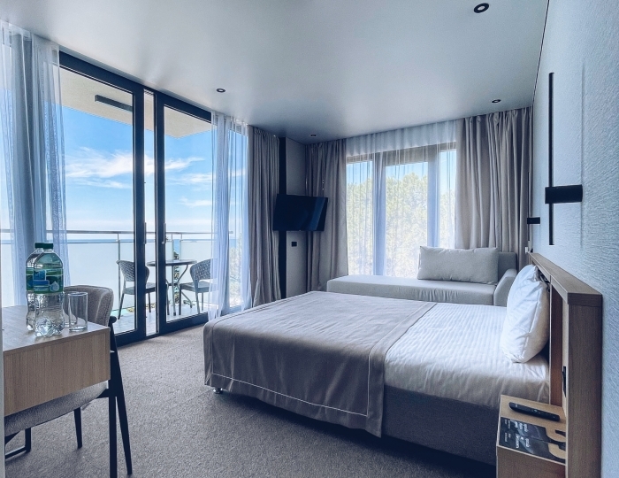 Полулюкс 2-местный 1-комнатный - Отель «Изумруд» Гагра