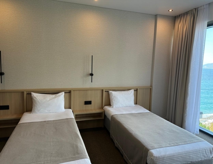 Стандарт 2-местный 1-комнатный без балкона с д/м - Отель «Изумруд» Гагра